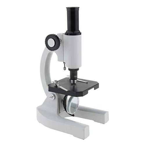 Microscope biologique 200X idéal pour l'expérimentation en famille