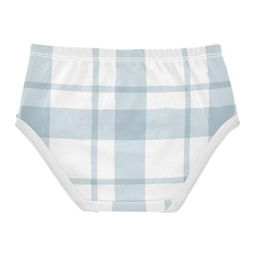 Hipster Panties All Seasons Panties Comfort Underwear for Baby Girls in Sizes 2T,3T, 4T, 5T, 6Y and 8Y2