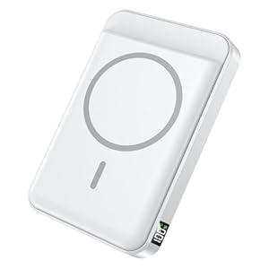 Portable Charger,10000mAh Power Bank with Type-C 20W PD Fast Charging, Lightweight and Slim Wireless Portable Charger, LED Display for Magsafe Battery Pack for iPhone 16/15/14/13/12, White
