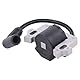 Zündspule Zündkerze Rasenmäher Motor Zündmodul Zündung Spule Modul Rasentrimmer Zündspulenmodul Ersatz für Honda GCV 135 GC135 GCV 160 GC 160 GSV 190 HRR216 HRX217 HRB216 HRS216 HRT216 HRZ216 HS520