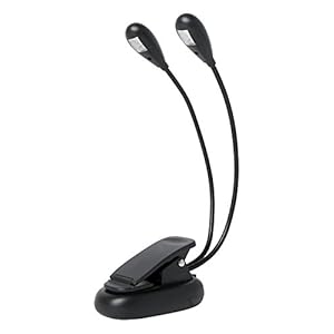 Fire & Stone muzieklamp. Een leds per zwanenhals.