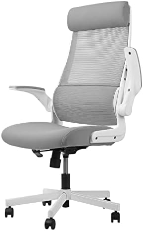 MELOKEA Ergonomic Office Chair with Lumbar Support, Desk Chair High Back Mesh Office Chair with S-shaped Lumbar Support Flip-up Armrests Adjustable Headrest, Computer Chairs for Home White-Grey