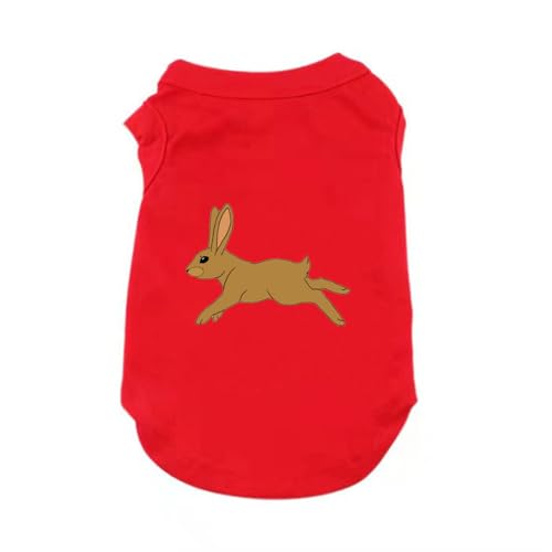 ZSDGBZ  tVc  ybg ėp bh t ʋC 4XL  Lk lC t@bV^ ^ ĕ Vv іh~ m L m pW} ʋC Eѕی o U