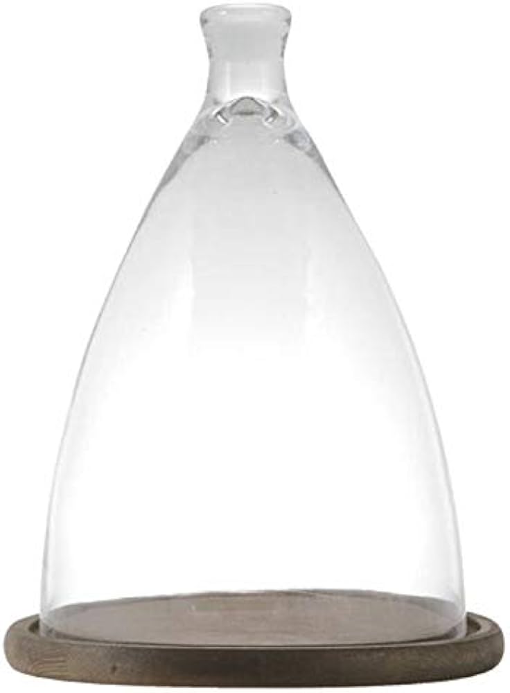 Amazon｜ダルトン(Dulton) ディスプレイ用品 グラス クローシュ L