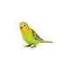 MOJO Green Budgerigar (Australian Parakeet) Realistic International Wildlife Toy Replica Hand Painted Figurine Small