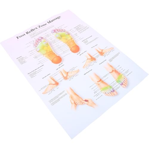 POPETPOP Tabella dei Massaggi Poster di Riflessologia per Professionisti, Utilizzabile in Aule Scolastiche e Contesti di Formazione
