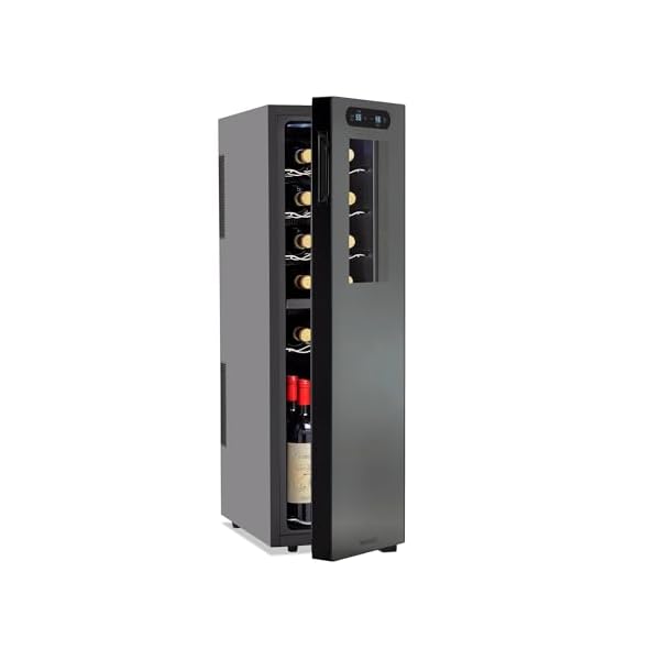 Wine Enthusiast 18-Bottle Slimline Dual Zone Wine Cooler – Energy Efficient Freestanding Wine Refrigerator – Upright Bottle Storage, Adjustable Thermostat, Digital Touchscreen (20.5” x 10.7″ x 36.8”)
