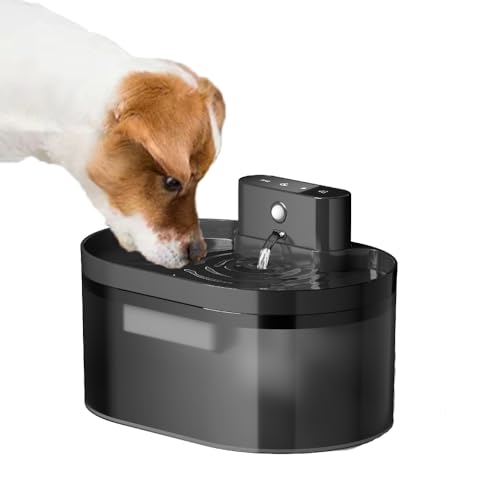 Fuente de agua automática recargable para gatos 2.2L