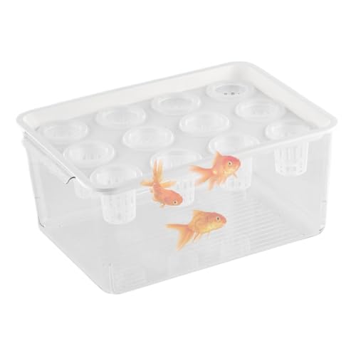 Planteur et aquarium aquaponiques pour poissons Betta - Pour poissons Betta - Aquaponics Garden - Favorise un environnement hydroponique sain pour la décoration de table