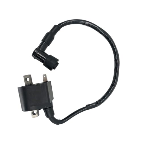 Bobina de encendido Suzuki LT50 para solucionar tirones de motor y fallos de arranque 2