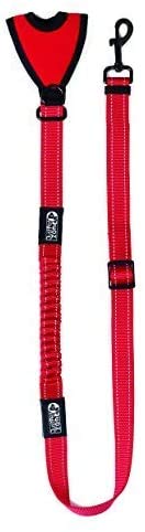 Just Pet Zone Dog training lead