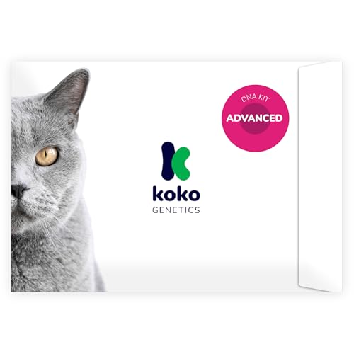 Koko Genetics DNA Test for Cats Advanced - (+150 Reports of Breeds, Health and Traits) - Upgrades at no cost