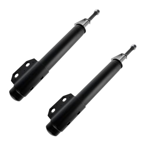 WGBNIF Front Strut Assembly Set for Ford for Mustang 5.0L 1987-1993 2 Piece SBA60335 235009