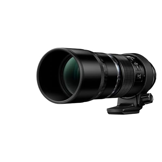 OM SYSTEM Olympus 300mm F4.0 Telephoto Lens