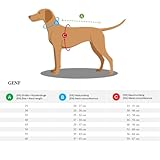 Hunter Hundepullover GENF, Farbe: beige, Strickpullover für kalte Tage, weich, anschmiegsam, recyceltes Polyester, waschbar, umgschlagbarer Halskragen, hohe Elastizität, Größe: 25