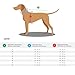 Hunter Hundepullover GENF, Farbe: beige, Strickpullover für kalte Tage, weich, anschmiegsam, recyceltes Polyester, waschbar, umgschlagbarer Halskragen, hohe Elastizität, Größe: 25