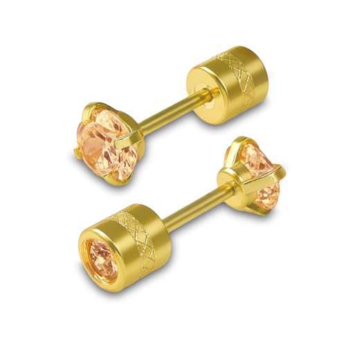 [Noelmarket] sAX t[vsAX ςȂ T[WJXeX 316L jbPt[ Ԃ ~jsAX Vv i  fB[X l 30 40 v[g 킢 ꂢ  3mm 4mm 5mm (I