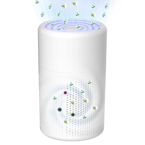 Air Purifiers for Bedroom Air Cleaner - H13 HEPA Filters