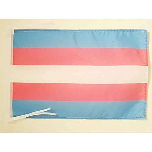 AZ FLAG - Flagge Regenbogen Transgender - 45x30 cm Mit Kordel - Intersexuelle Fahne 30 x 45 Cm - Flaggen
