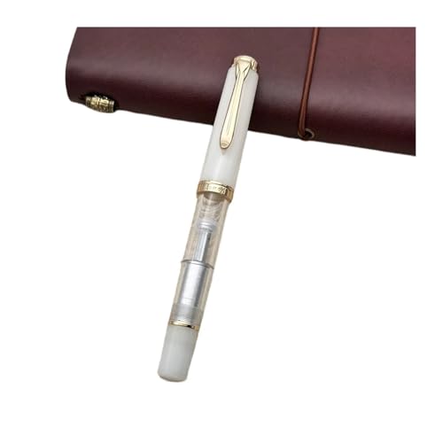Stylo plume à piston Schmidt en acrylique transparent doté d'un élégant clip doré de haute qualité