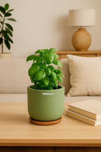 Image of Habere India-All the Cultures Fabricating India Plant Pot with Wooden Plate | Flower Pots for Dining Table & Home Decor | Terracotta Pot for Living Room Decoration (Green, Dia11 x H9.5 cm)