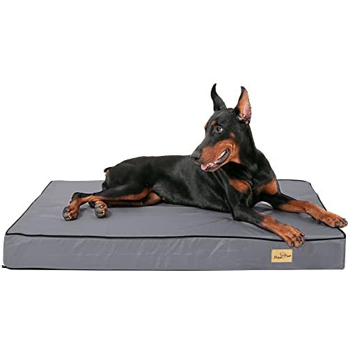 BingoPaw Coussin Grand Chien Déhoussable: Panier pour Chien XXL Orthopédique Grande Taille Tapis pour Chiens Lavable Matelas Imperméable en Mousse Haute Résilience 120x75x10cm