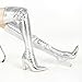 Wsheliu Silver Boots for Women Thigh High Boots Chunky Heel Sexy Pointed Toe Fashion Silver Metallic Boots GOGO Boots Tall Boots Knee High Boots Prom Party Winter Boots Size 7.5