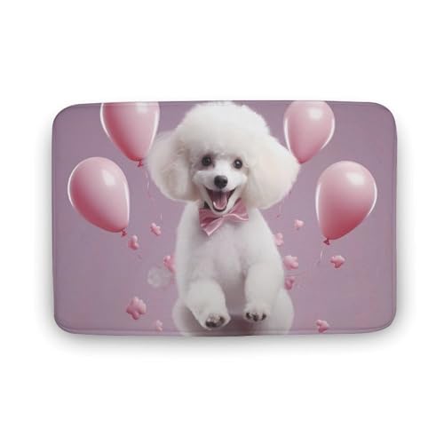 Cute Poodle Coral Velvet Rugs Non-Slip Bathroom Rugs Soft Kitchen Rug Floor Carpet for Home Decor 19.7