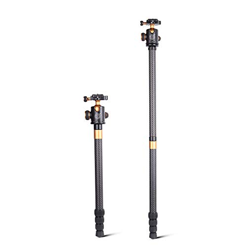 PQXOER Kamera Stativ Kamera tragbares Stativ Kohlefaser Stativ Kugelkopf und Ersatz 1/4"Schnellwechselplatte für die Reise für DSLR Canon Nikon Sony Kamera schwarz (Q968C) Dreibein-Stative – Bild 5