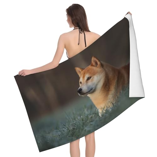 oX^I r[`^I  F  Č Ck  킢 唻 ^I }CNt@Co[ ^I  z  ӂӂ G hL j Cオ ϋv lGʗp ƒp Ɩp oXpi Mtg 蕨 DY174J