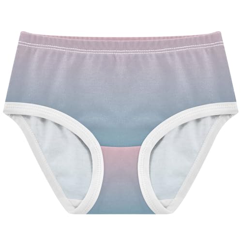 Joisal Blush Pink Saxe Blue Gradient Girls Underwear Toddler 2t Cotton Panties for Girl Animals Undies Kids Briefs