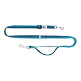 RC Pet Products