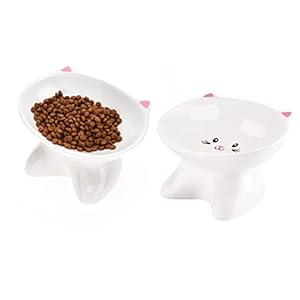 JOELELI 2 Pack Raised Cat Bowls, Anti Vomit Cat Feeding Bowls 15°Tilted Anti Sickness Cat Ceramic Food Bowl Dish Elevated Shallow Wide Kitten Food Bowls Set with Stand for Dog Puppy Pet