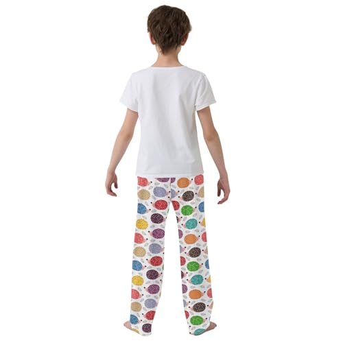 ZZXXB Colorful Hedgehog Print Boys Long Pants Soft Trousers Elastic Waist Kids Lounge Bottoms with Pockets S-XL3
