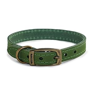 Ancol Timberwolf Leather Collar Green, 35-43 cm, Size 4