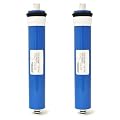 ClearChoice 100 GPD Reverse Osmosis Membrane - 2 pack