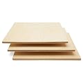 6 mm 1/4 x 12 x 12 Inch Premium Baltic Birch Plywood, Box of 25 B/BB Birch Veneer Sheets, Perfect for Laser CNC Cutting and Wood Burning Projects. by Woodpeckers