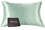 Celestial Silk 100% Silk Pillowcase for Hair Zippered Luxury 25 Momme Mulberry Silk (Queen, Mint Gre