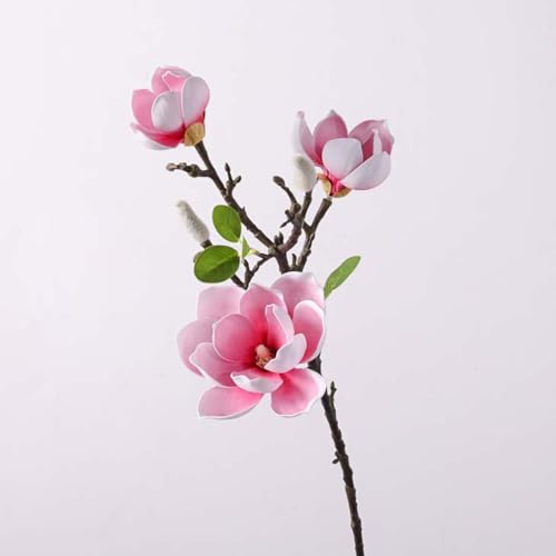 Foxace N tFCNt[  ؘ@ 2{ sN  Ȃ X^CbV k CeA A[eBtBVt[ A { ̓ JXj 