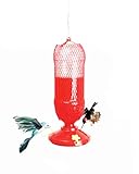 Gadjit Soda Bottle Hanging Hummingbird Feeder Kit |Fun Inexpensive Project for Kids at Home | Fill Feeder with Nectar or Sugar Water, Hang Outdoors, Promotes Plastic Bottle Re-use (Red)