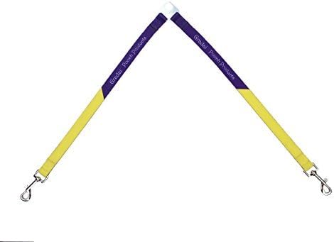 Gradai Pooch Products 2 Dog Leash Coupler + Splitter - Walk Two Dogs w/No Tangle - Double Dog Dual Ended Lead - Great for Multiple Dog Owners - Designed in USA - Comes in Purple/Yellow & Blue/Orange