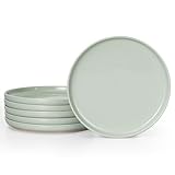 HaWare Dinner Plates Set of 6, 10.2 Inch Stoneware...