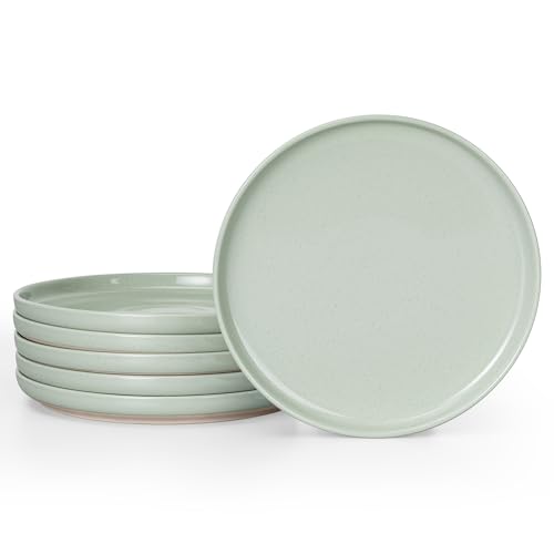 HaWare Dinner Plates Set of 6, 10.2 Inch Stoneware Dinnerware Sets for Home Restaurant, Speckled Asparagus Green