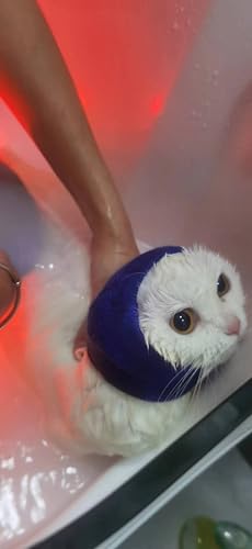 Image of Soothing Cat Ear Wrap,Anxiety & Stress Relief - Cat Head Cover Hematoma Compression Blue S