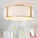 ainqiant Gold Caged Ceiling Fan with Light, 20' Flush Mount Boho Ceiling Fans with Lights Remote Control, Low Profile Fabric Bladeless with 6 Speeds for Bedroom, Nursery, Living Room