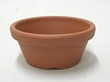 小品盆栽 仕立鉢 シオン鉢 2号浅鉢 10枚セット 硬質素焼き鉢