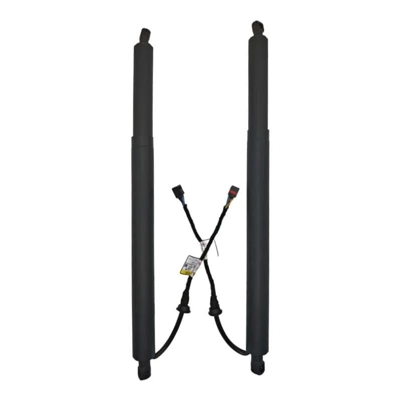 Jambe de force hayon électrique avec moteur fluide pour Santa Fe