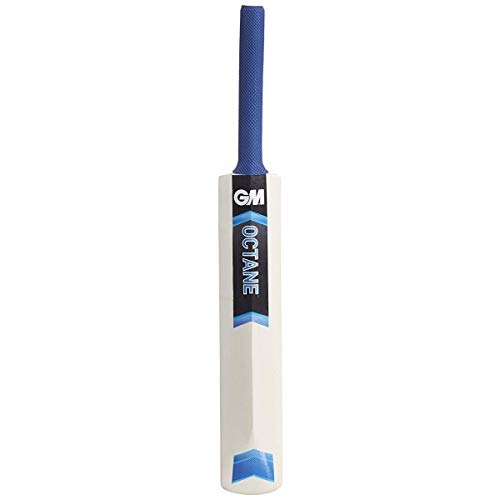 MSC English Willow Leather Bat with Big Edge