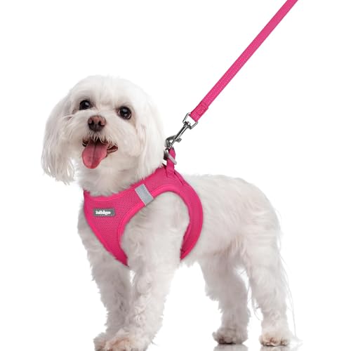 Rabbitgoo Step-In Harness & Leash Set (Rose Red, M)