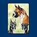 Boxer Playing Cards - Set of Two